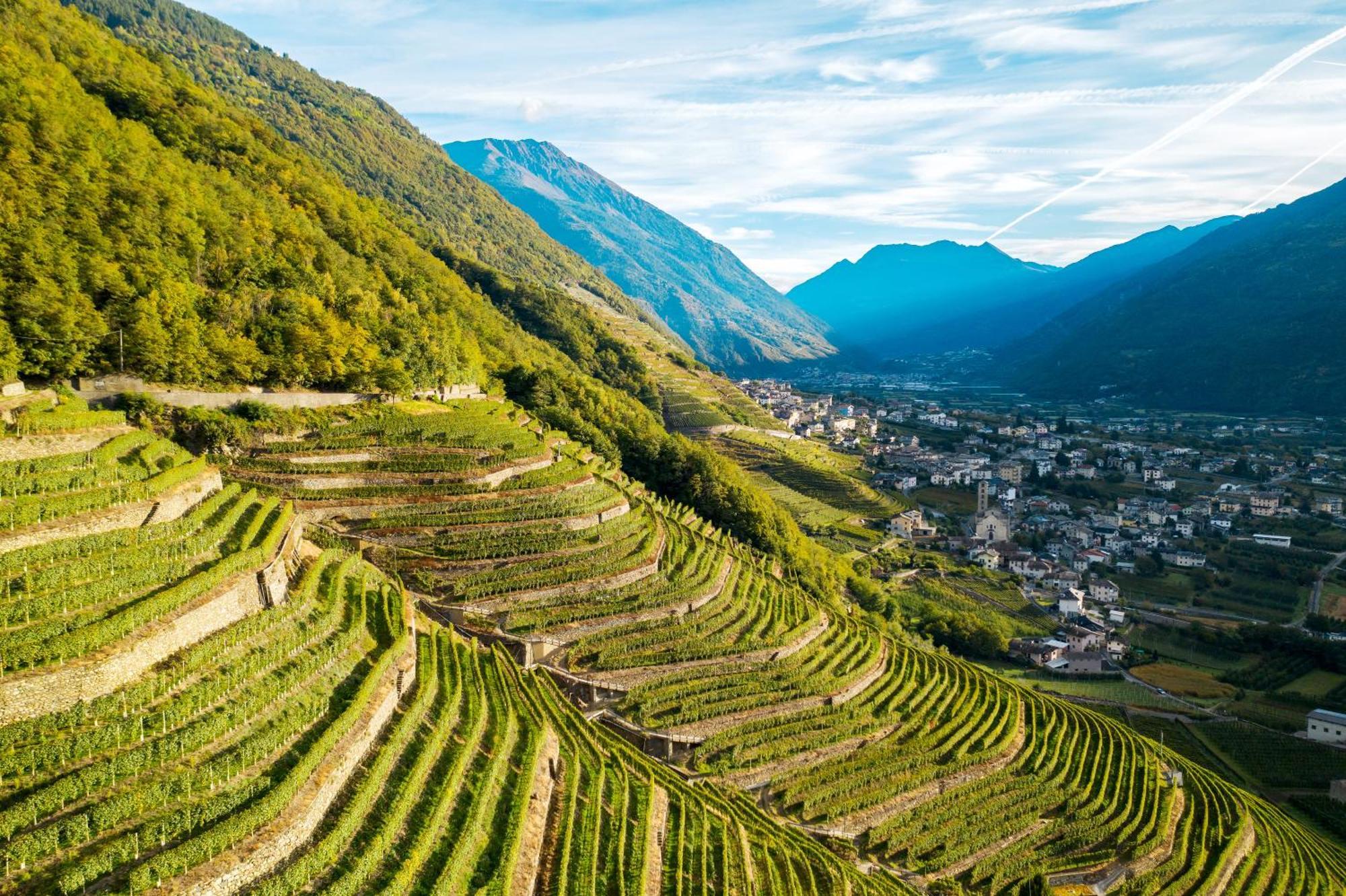 Agriturismo B&B Caffe E Vino Сондрио Экстерьер фото